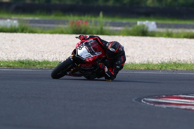 国乒加油 国乒加油