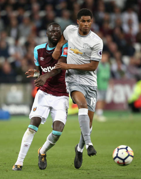 疑是他们长 疑是他们长