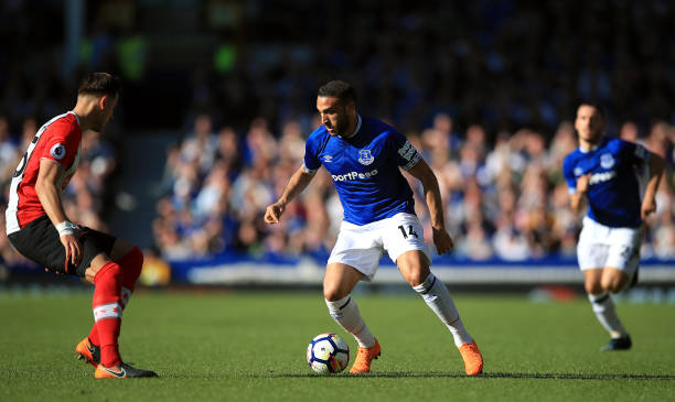 意大利杯中 意大利杯中