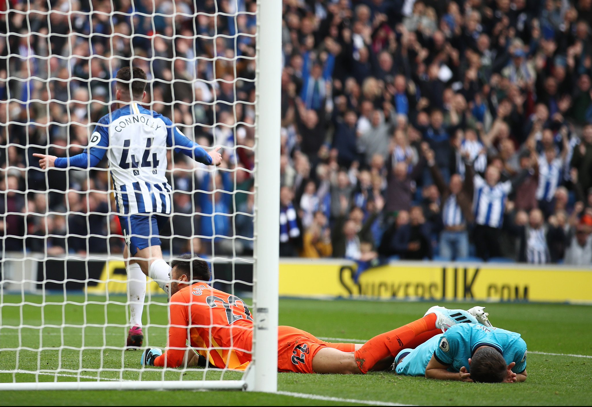 的这一场大 的这一场大