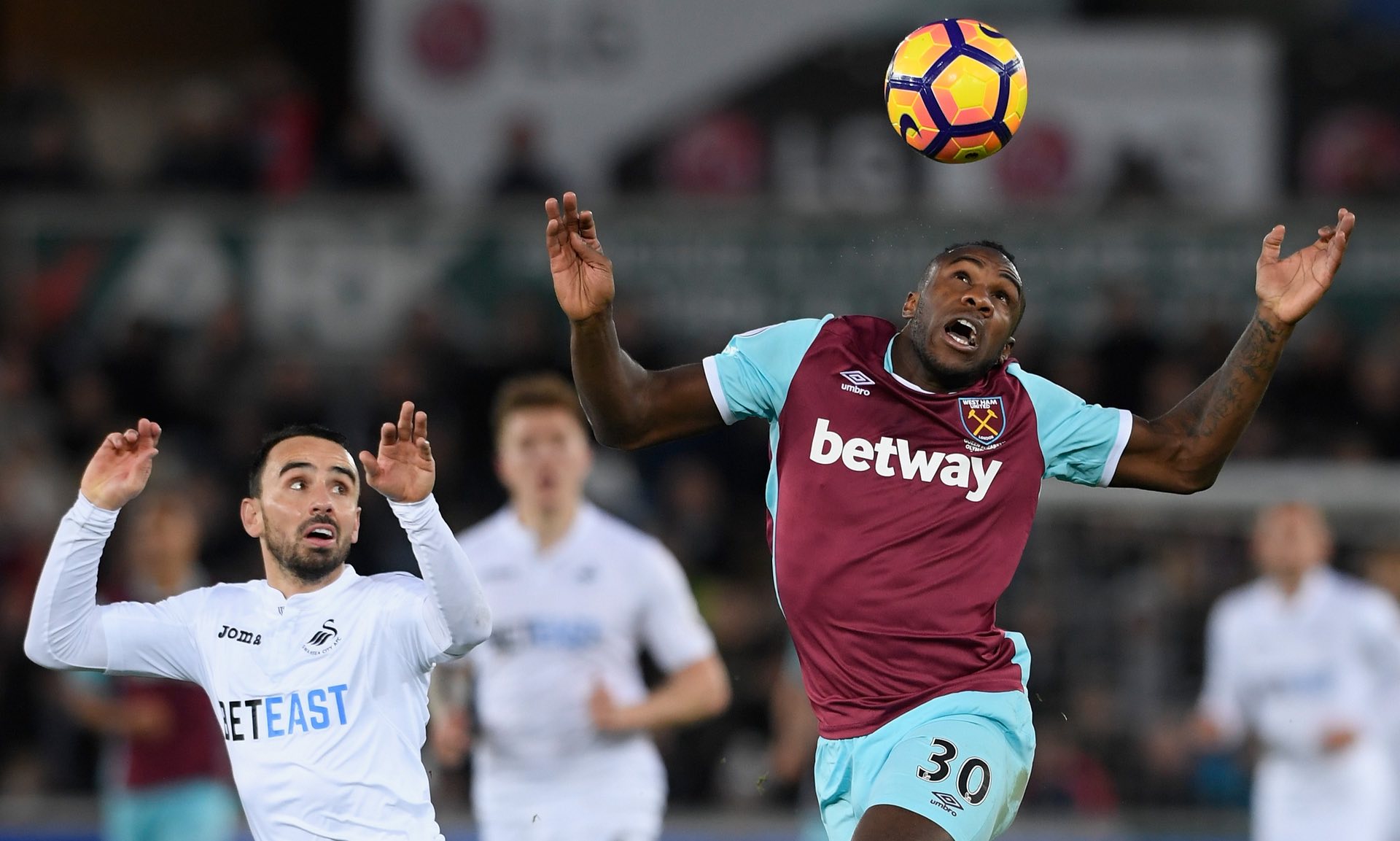 会不仅是体 会不仅是体